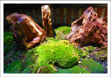 Land Art Miniatures